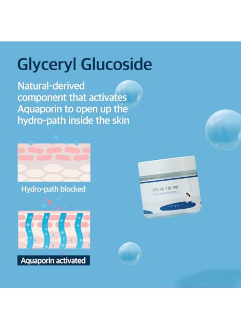 ROUND LAB Birch Juice Moisturizing Cream 80ml - Image 4