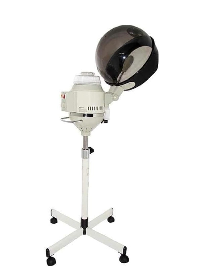2-in-1 Hair & Facial Steamer: Dual Benefits for Glowing Skin & Luscious Hair