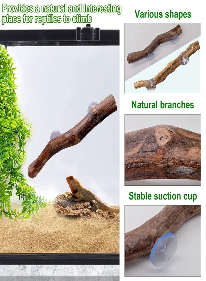 كاثسون غصن زاوية للزواحف من كاثسون، خشب متسلق ونباتات صناعية معلقة، غصن واحد للزواحف ونبتتان بلاستيكيتان لحوض الزواحف، ديكور لحوض التنانين الملتحية، مناسب للبرمائيات والسحالي والوزغات والثعابين والضفادع وسرطان البحر الناسك - Image 3