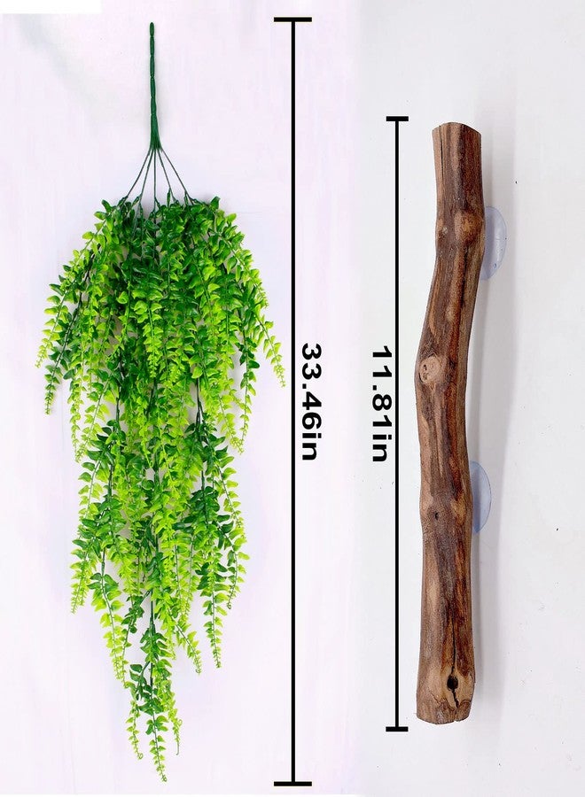 كاثسون غصن زاوية للزواحف من كاثسون، خشب متسلق ونباتات صناعية معلقة، غصن واحد للزواحف ونبتتان بلاستيكيتان لحوض الزواحف، ديكور لحوض التنانين الملتحية، مناسب للبرمائيات والسحالي والوزغات والثعابين والضفادع وسرطان البحر الناسك - Image 5