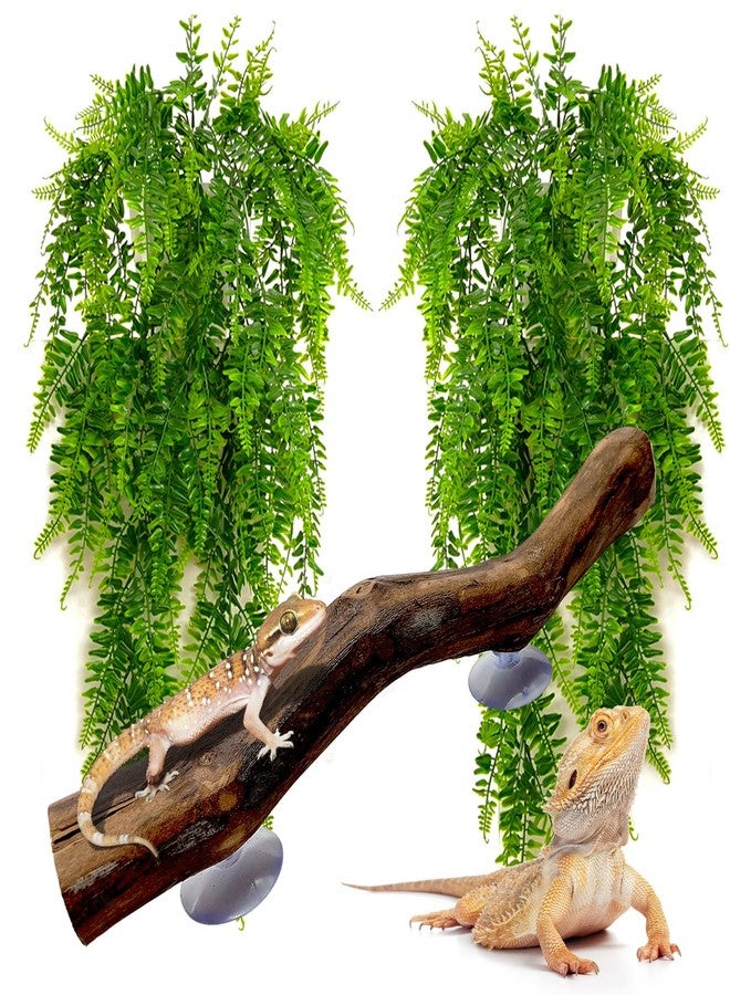 كاثسون غصن زاوية للزواحف من كاثسون، خشب متسلق ونباتات صناعية معلقة، غصن واحد للزواحف ونبتتان بلاستيكيتان لحوض الزواحف، ديكور لحوض التنانين الملتحية، مناسب للبرمائيات والسحالي والوزغات والثعابين والضفادع وسرطان البحر الناسك - Image 1