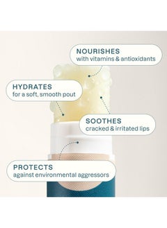Cliganic Cliganic Organic Lip Balm Set (Fresh Picked, 8 Flavors) - 100% Natural Moisturizer for Cracked & Dry Lips  - Image 4