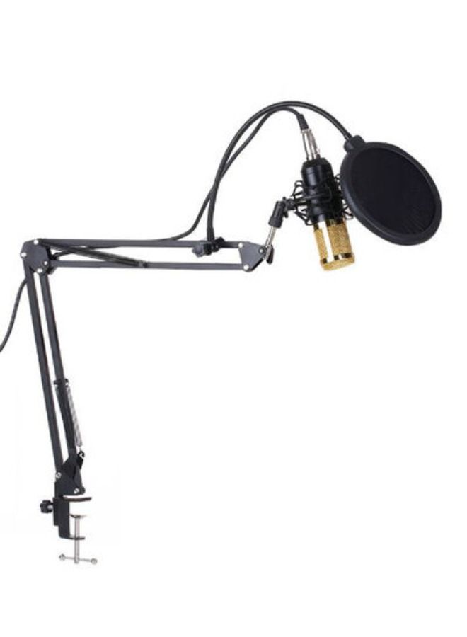 Audio Studio Recording Condenser Microphone Kit DD1960 Black/White - Image 3