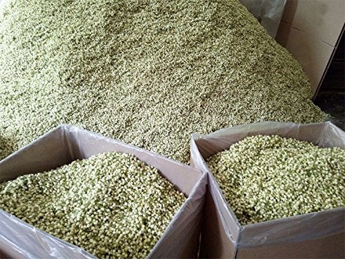 TooGet Fragrant Natural Pure Jasmine Buds Dried Jasmine Flowers Wholesale, Herbal Tea - 4 OZ - Image 5