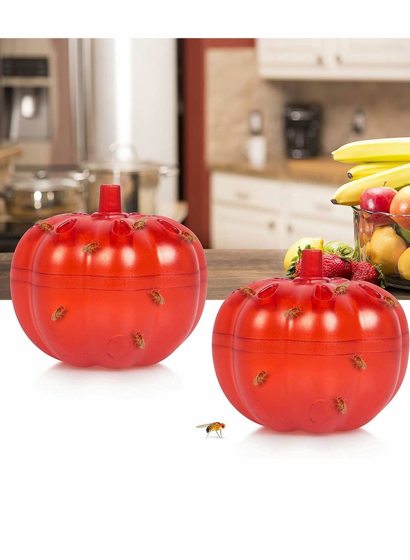 KASTWAVE Fly Trap 2 Pack Fruit Fly Traps Gnat Trap Indoor for Home/Kitchen Gnat Killer for Indoor/Plants Fly Trap for Home Gnat Killer for Indoor - Image 1