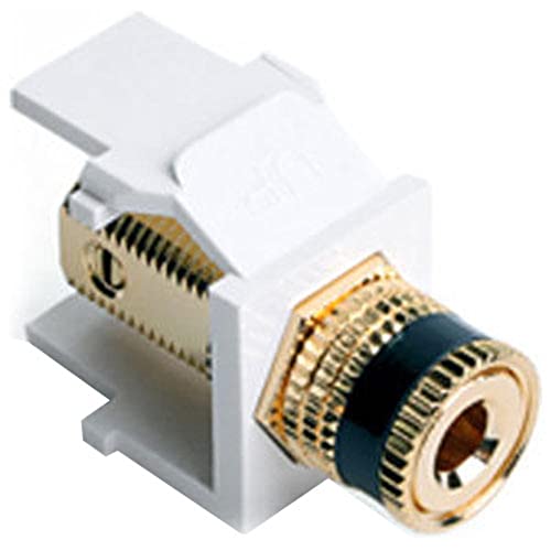 Leviton إدخال مودولار ليفيتون باندينغ بوست سناپ-إن، كويك بورت، أبيض مع شريط أسود - Image 4