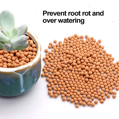 TOYPOPOR Clay Pebbles Gardening Ceramsite Orchid Hydroponic Grow Media Clay Rocks Drainage Water Purification Ceramsite Decor Cultivation Soil Stone Horticultural Grade for Soil Hydroponics Aquaponics 2.2lb - Image 3