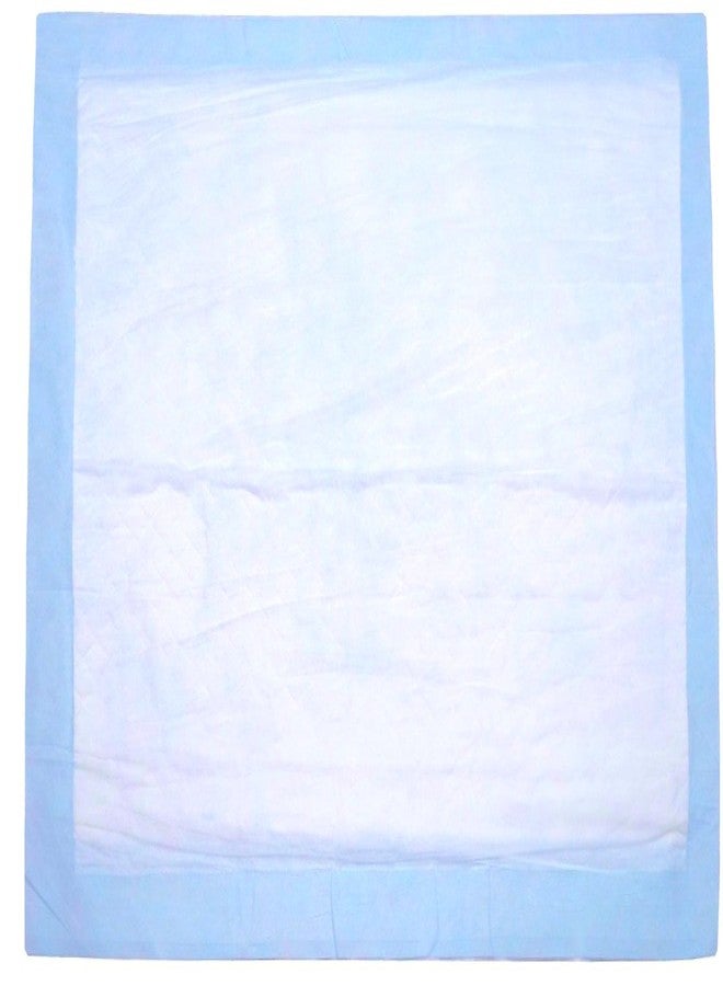 BrightCare Large Breathable Disposable Incontinence Underpad 10 Count (Size 30Wx36L) - Bed pad Incontinence Protection for Adult, Child, or Pets - Absorbent Waterproof Chux - Image 2