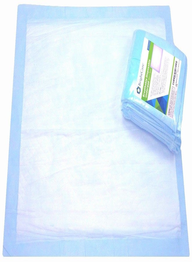 BrightCare Large Breathable Disposable Incontinence Underpad 10 Count (Size 30Wx36L) - Bed pad Incontinence Protection for Adult, Child, or Pets - Absorbent Waterproof Chux - Image 1