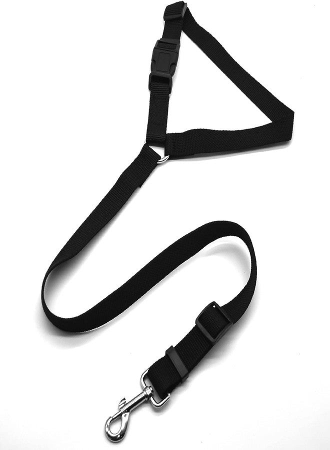 BLURISM Dog Seat Belt Pet Safety Belt, Created with Human Seatbelt Material. All-Metal Hardware with Adjustable Length Strap. Exceeds Dog Safety Standards. Keep Your Dog Secure in Car - Image 1