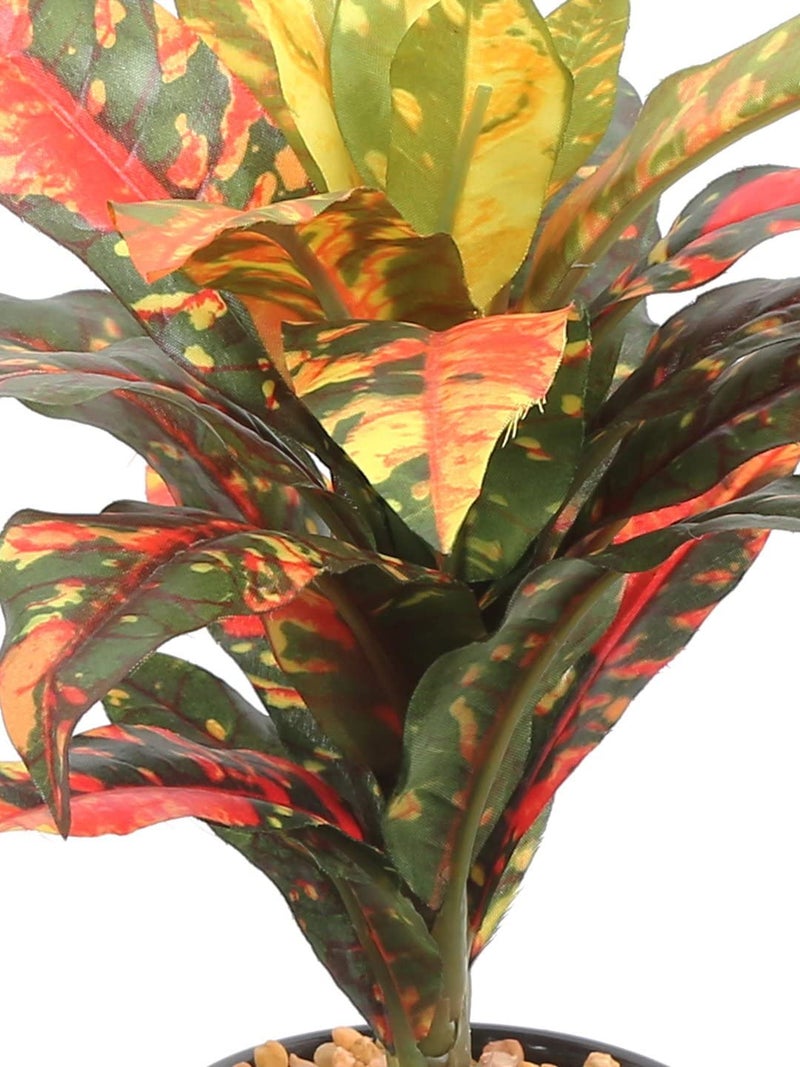 Fourwalls Artificial Natural Looking Dracaena Bonsai Plant in A Ceramic Vase for Home Office Decor (24 cm Tall, 25 Leaves, Yellow) - Image 2