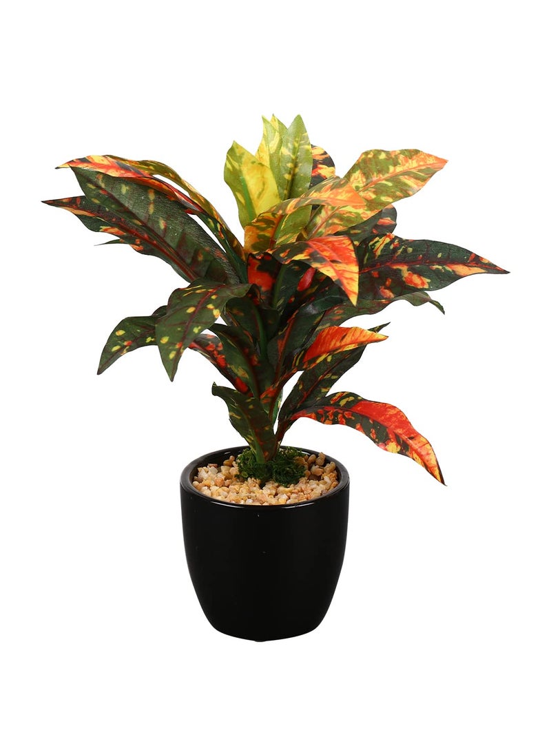 Fourwalls Artificial Natural Looking Dracaena Bonsai Plant in A Ceramic Vase for Home Office Decor (24 cm Tall, 25 Leaves, Yellow) - Image 5