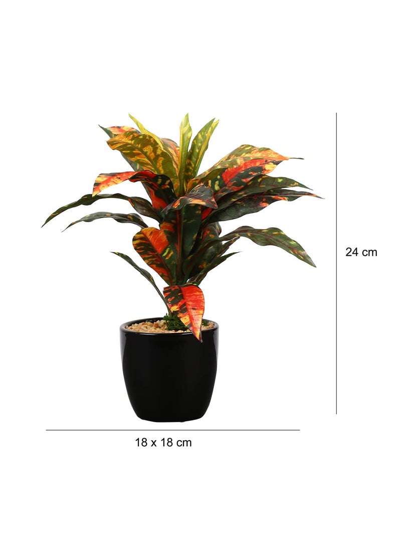 Fourwalls Artificial Natural Looking Dracaena Bonsai Plant in A Ceramic Vase for Home Office Decor (24 cm Tall, 25 Leaves, Yellow) - Image 3