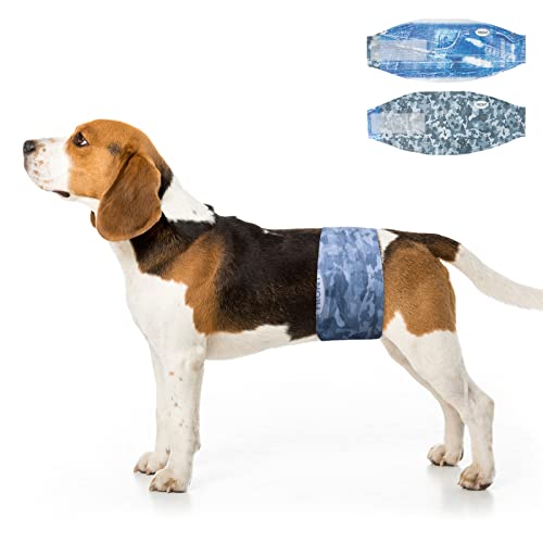 Dono Dog Diapers Male Disposable Male Dog Wraps 48 Count Wider Doggie Puppy Diapers Male Belly Bands Super Absorbent LeakProof Fit Excitable Urination Incontinence M
