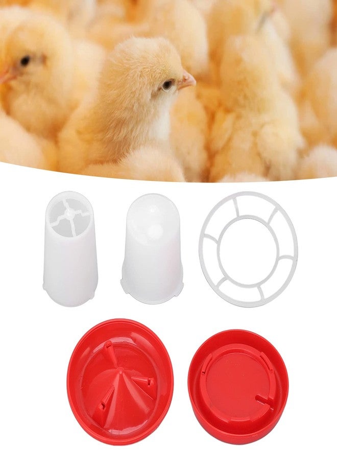 Estink Automatic Bird Feeder and Waterer Set, 160g Food and 160ml Water Capacity, for Parrots and Pigeons - Image 2