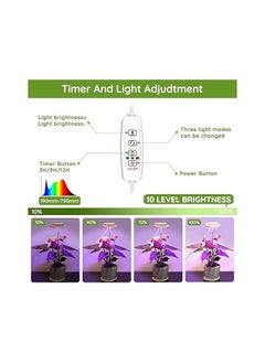General Grow Light for Indoor Plants, Height Adjustable Grow Light with 10 Adjustable Brightness, LED Growing Light, 3/9/12H On/Off Timer, 3 Colors Light, Auto On/Off, Sunlight Lamp for Plant  - Image 2