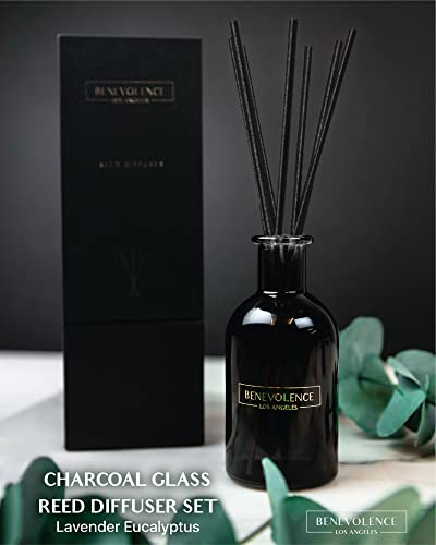 Benevolence LA Reed Diffusers for Home, Lavender & Eucalyptus Relaxing Fragrance | Aromatherapy Reed Diffuser Sticks with Gift Box, Scented Sticks for Bathroom | Home Décor - Image 2