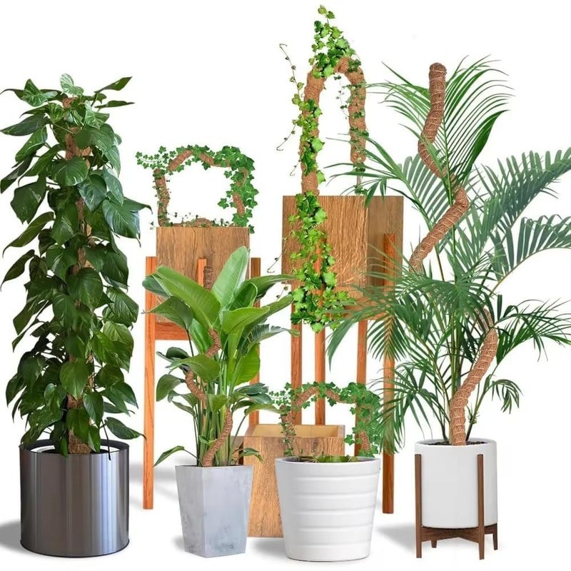 Craft911 Moss Pole Monstera Plant Support â€“ 48â€ Bendable Moss Pole Monstera Plant Support, Plant Stakes for Indoor Plants, Tall Plant Sticks Support for Climbing Plants - Image 4
