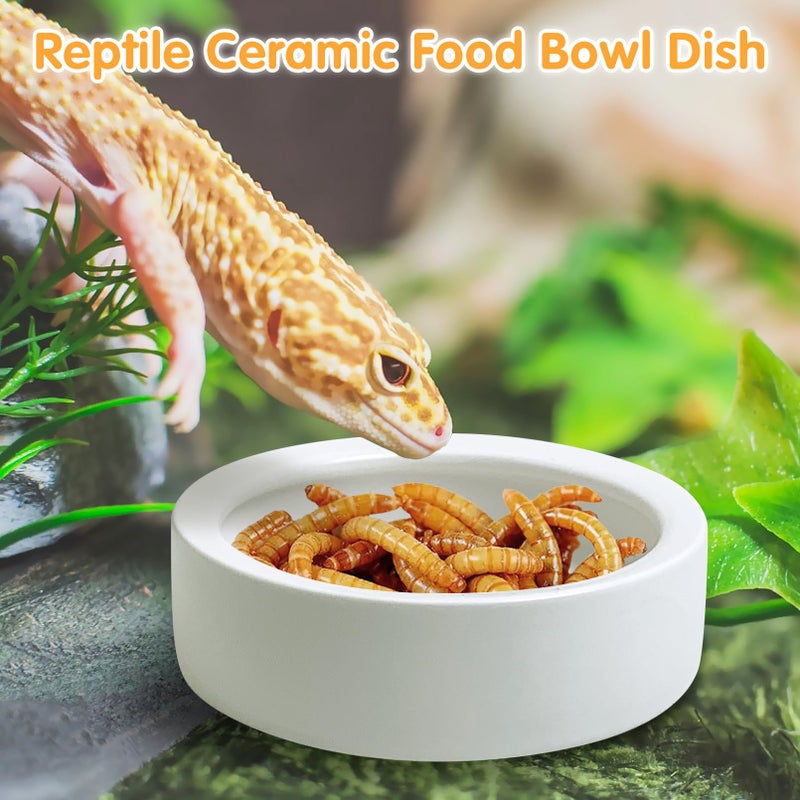 Tfwadmx 2 Pack Reptile Food Bowl, Ceramic Water Feeder Bowl, Reptile Worm Feeding Dish for Lizard Turtle Bearded Dragon Anoles Crested Gecko Hermit Crab Leopard Gecko Chameleon Corn Snake - Image 4