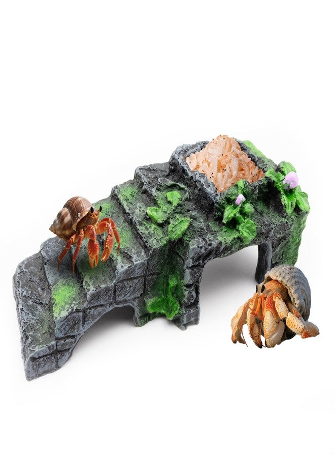 Niuohoy Hermit Crab Climbing Toy with Ramp Resin Food and Water Dish for Crabs, Lizards & Small Reptiles Hermit Crabs Tank Accessories Decor (Grey, 5 x 2 x 1.6 Inch) - Image 1