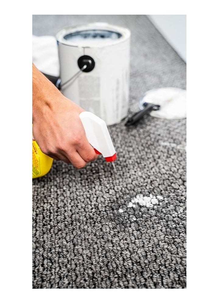 GOOF OFF Paint Remover For Carpet 355 ML  - Image 5