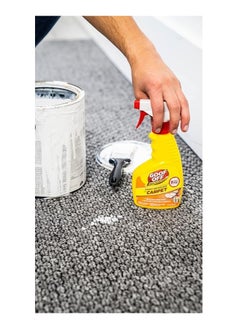 GOOF OFF Paint Remover For Carpet 355 ML  - Image 3