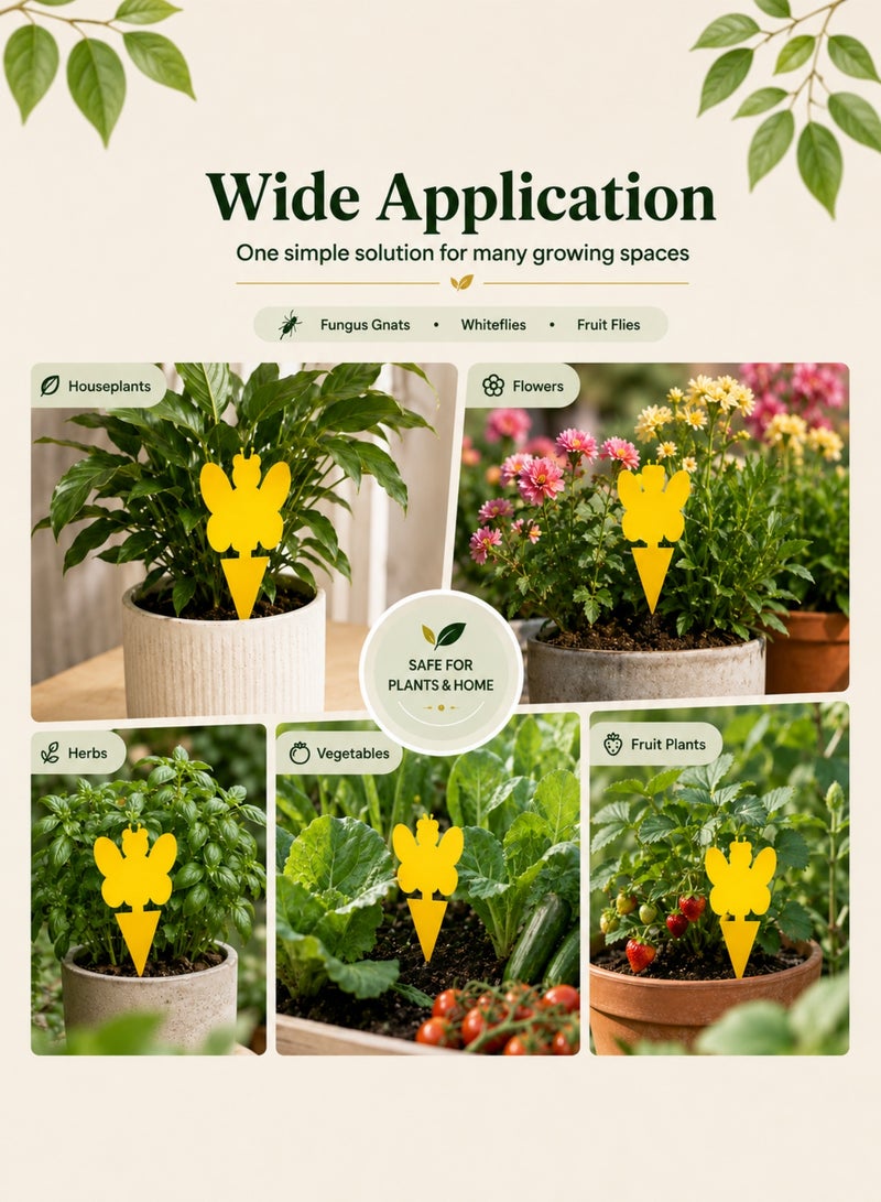 yumee 50 Pack Yellow Sticky Bug Traps, Self-Adhesive Insect Catchers for Indoor Outdoor Plants, Chemical-Free Flying Insect Traps for Houseplants & Garden, Weather-Resistant - Image 2
