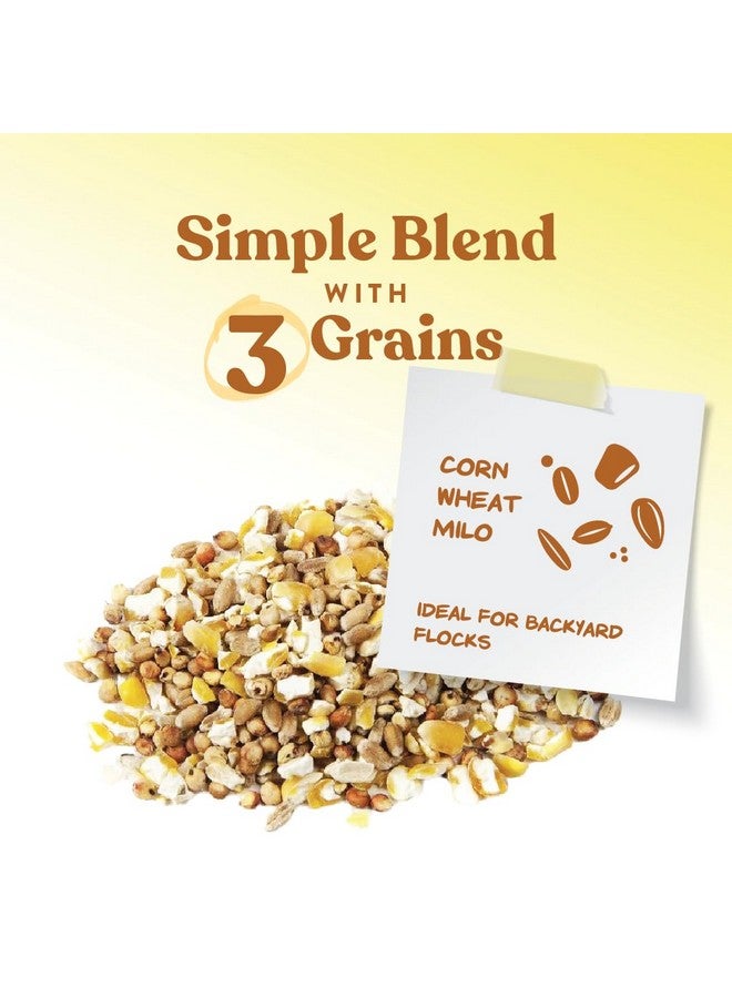 مانا برو حبوب مانا برو ألتيميت سكراتش للدجاج | غنية بالعناصر الغذائية | ١٠ أرطال - Image 3