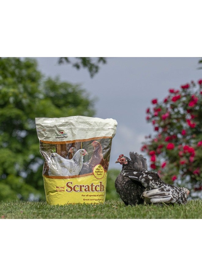مانا برو حبوب مانا برو ألتيميت سكراتش للدجاج | غنية بالعناصر الغذائية | ١٠ أرطال - Image 2