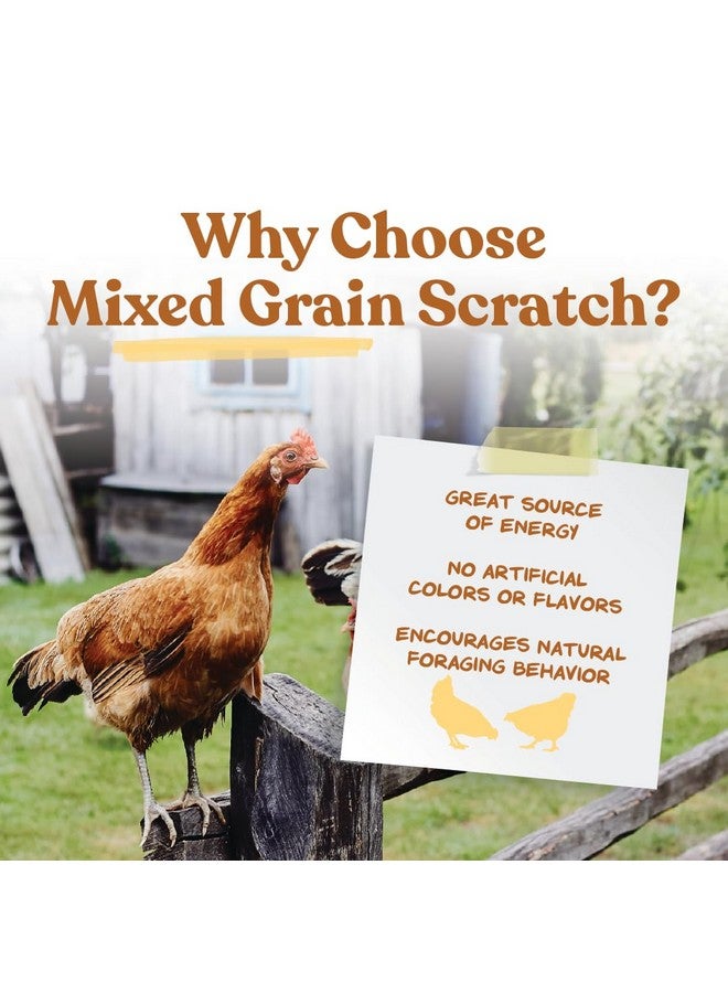 مانا برو حبوب مانا برو ألتيميت سكراتش للدجاج | غنية بالعناصر الغذائية | ١٠ أرطال - Image 4