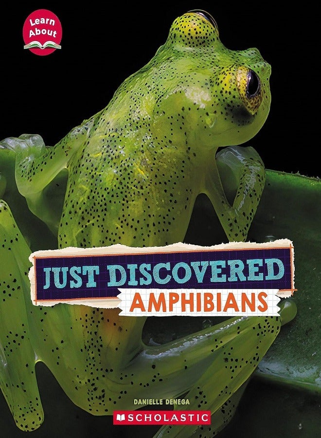 Just Discovered Amphibians