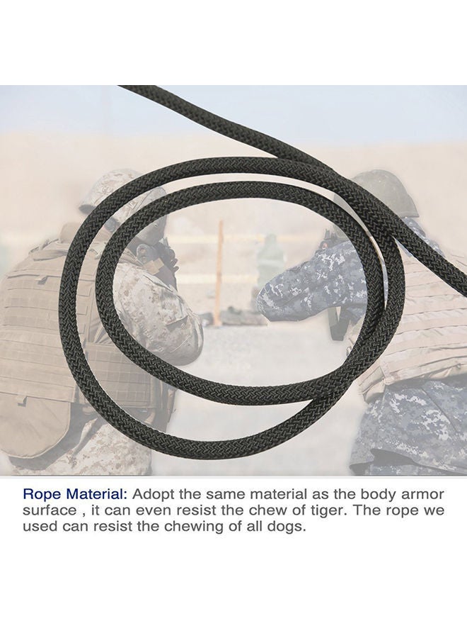 NIBEMINENT Multifunction Training Ball And Chew Toy Blue 15x10x10cm - Image 2