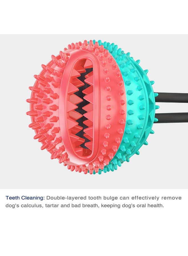 NIBEMINENT Multifunction Training Ball And Chew Toy Blue 15x10x10cm - Image 5