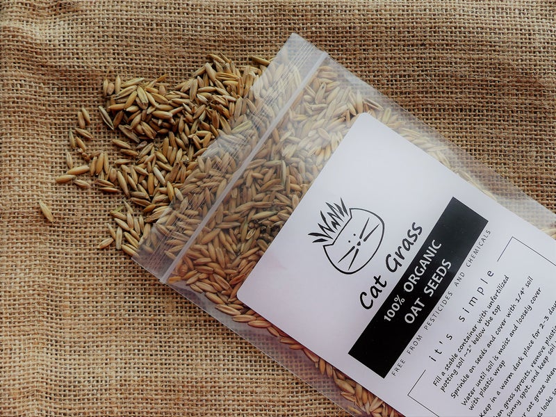 Crafted-Brand Simple Cat Grass | 100% US Organic Oat Seeds | Show Your Love with a Healthy Pet Treat and Snack (4 Ounce (~3200 Seeds)) - Image 1