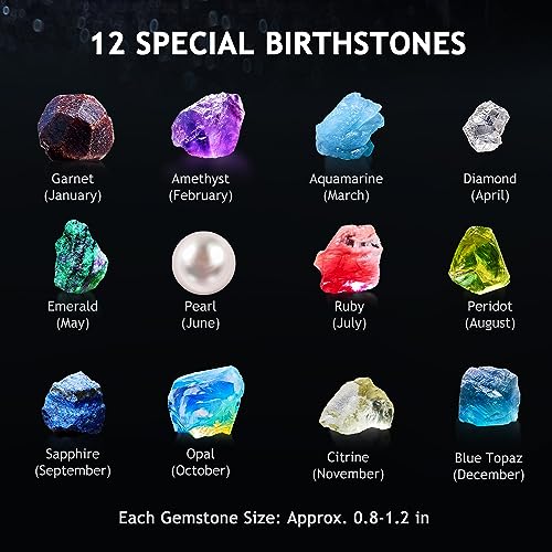 Japace Earth Science Kits for Kids Age 4681214 Birthstone Gemstone Dig Kit Geology Kit with Break Your Own Geodes Crystal Growing Experiment Rock Mining Kit Birthday Gifts Toys for Boys Girls - Image 5
