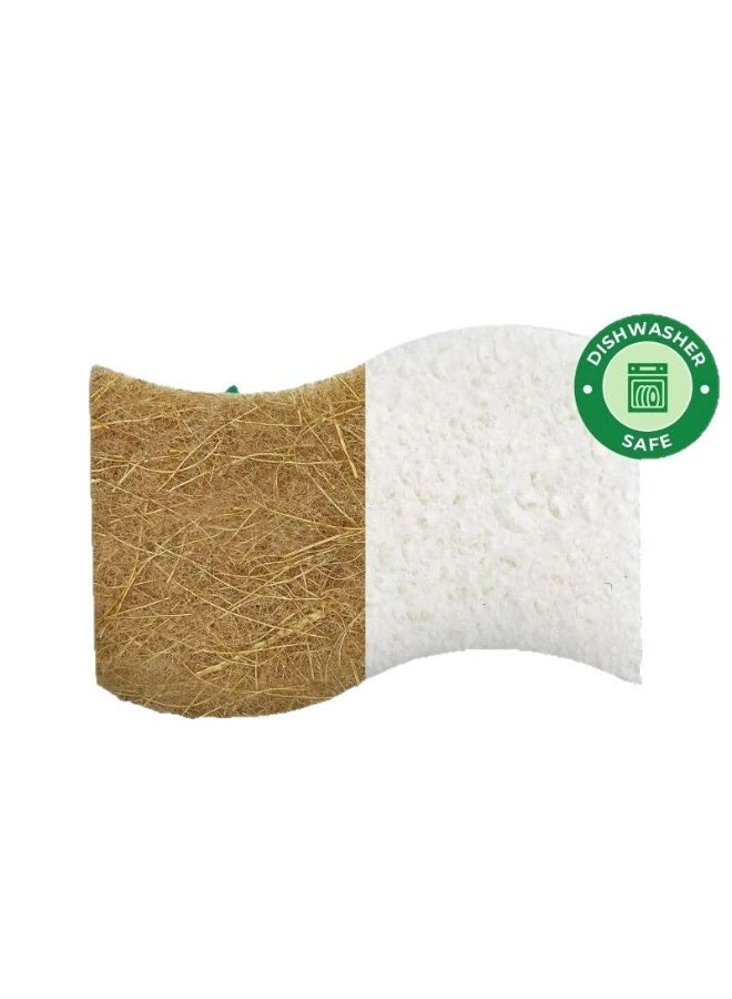 هومستر إسفنجة مطبخ صديقة للبيئة وقابلة للتحلل الحيوي - مصنوعة من السليلوز وقشر جوز الهند - عبوة من 12 إسفنجة غسيل أطباق صديقة للبيئة - Image 5
