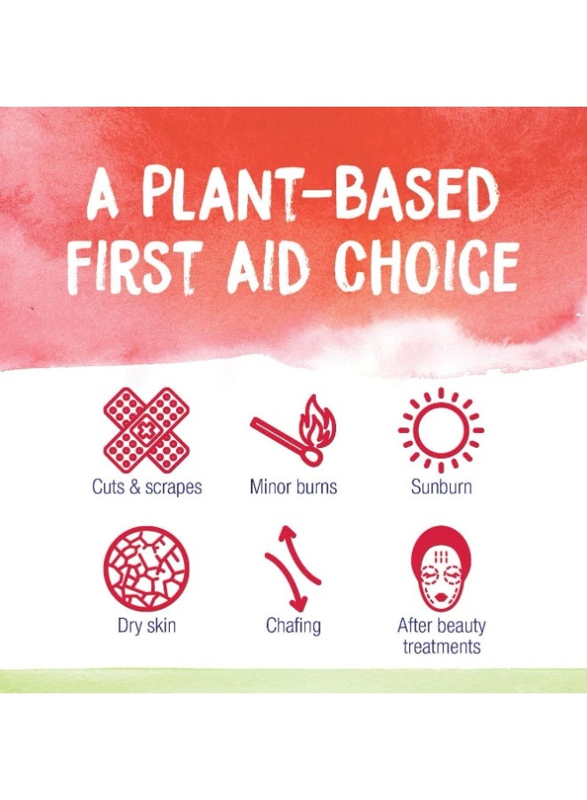 Boiron كريم بويرون كاليندولا للإسعافات الأولية، الحروق الطفيفة، الجروح، الخدوش، لدغات الحشرات وحروق الشمس - 2.5 أونصة - Image 4