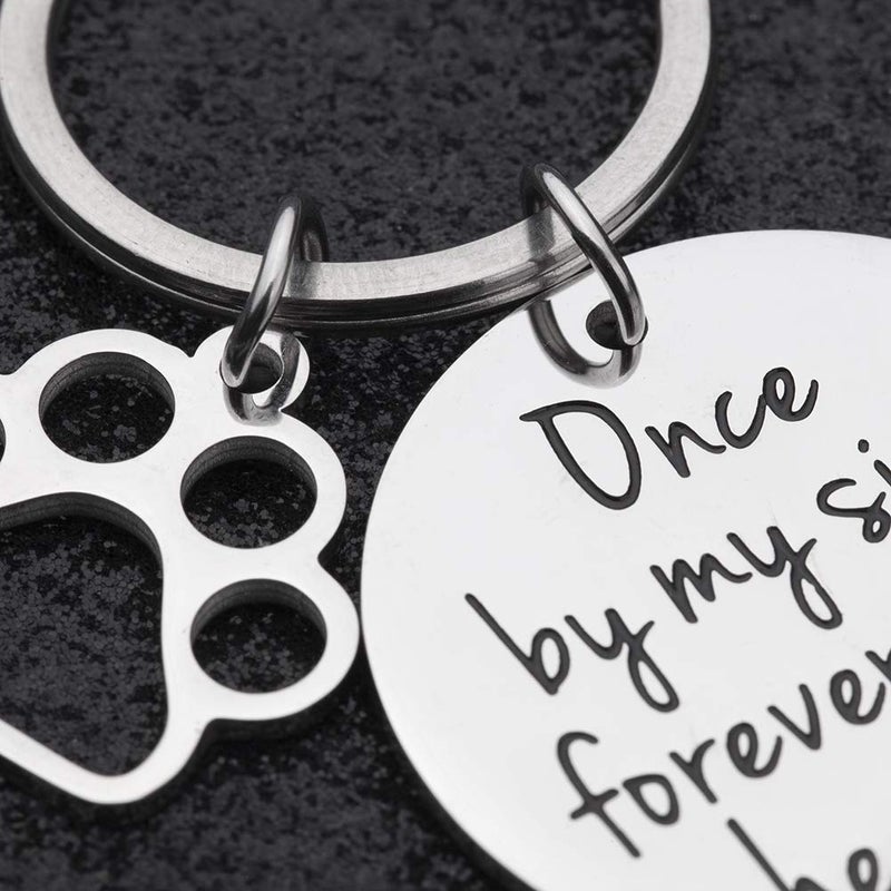 Vanlovemac Loss of Pet Memorial Keychain Dog Cat Remembrance Jewelry Pet Sympathy Gift Dog Remembrance for Women Men Once by My Side Forever in My Heart Key Ring - Image 2