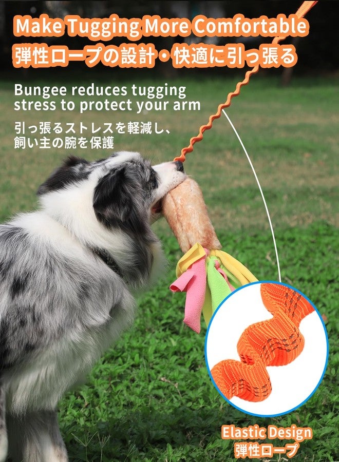 SCHITEC Tug Toy for Dogs, [2 Pack] Bungee Tug of War Squeaky Rope Toys for Exercise & Interactive Play Games, Puppy Training Pull Toy for Small Medium Large Dog - Image 3