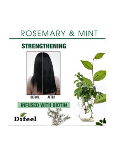 difeel Difeel Rosemary and Mint Root Stimulator Oil with Biotin for Hair Growth, 7.1 oz. - Hair Growth Scalp Treatment  - Image 4