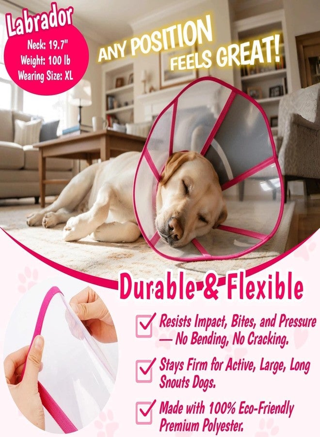 T'CHAQUE Comfy Dog Cone Collar for Dogs to Stop Licking, Soft Transparent E Collar for Small Dogs After Surgery, Extra-Long Recovery Cones, Durable & Easy-Clean Pet Neck Collars, Lightweight Cone(Rosered, S) - Image 3