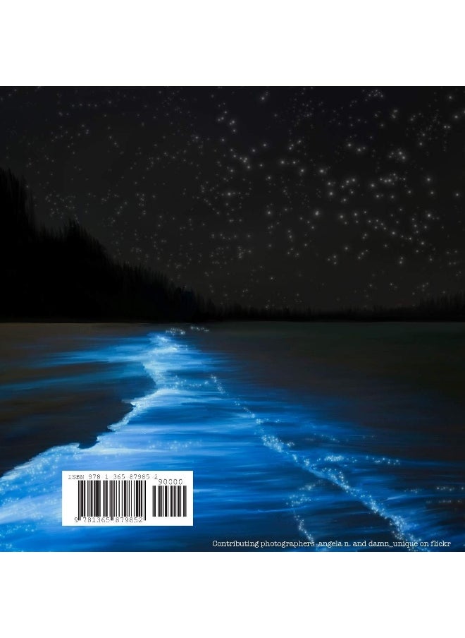 Lumiere  - Image 2