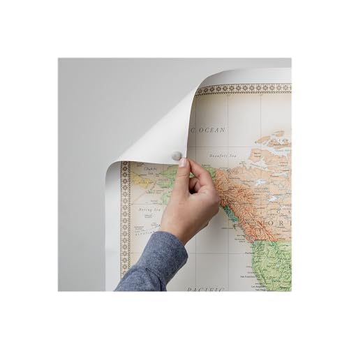 Duck PTY-2 Brand Removable Mounting Poster Putty, 2 oz., White (1436912) - Image 3