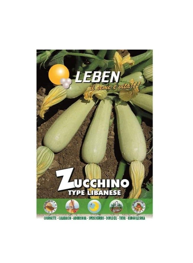 Generic Zucchino type Libanese Premium Quality Seeds by Leben (Italy)"Garden Care" 