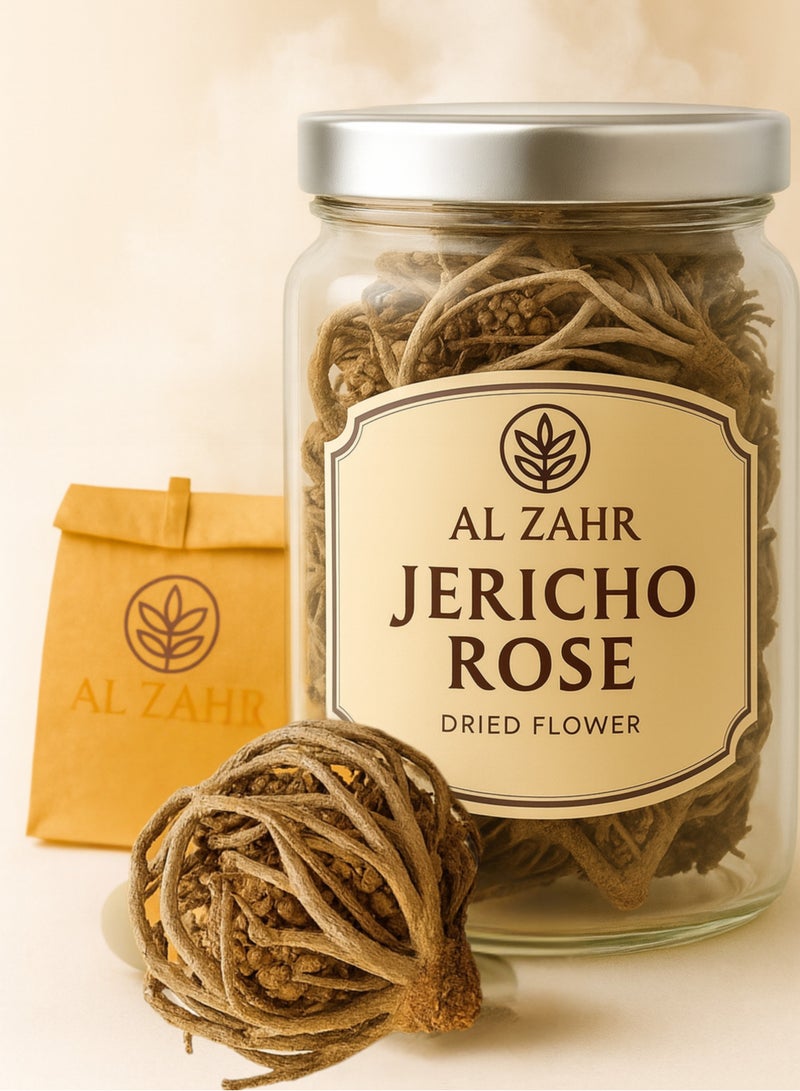 زهر وردة أريحا Anastatica hierochuntica زهرة مريم، زهرة مريم نبات القيامة (عبوة من قطعة واحدة) - Image 1