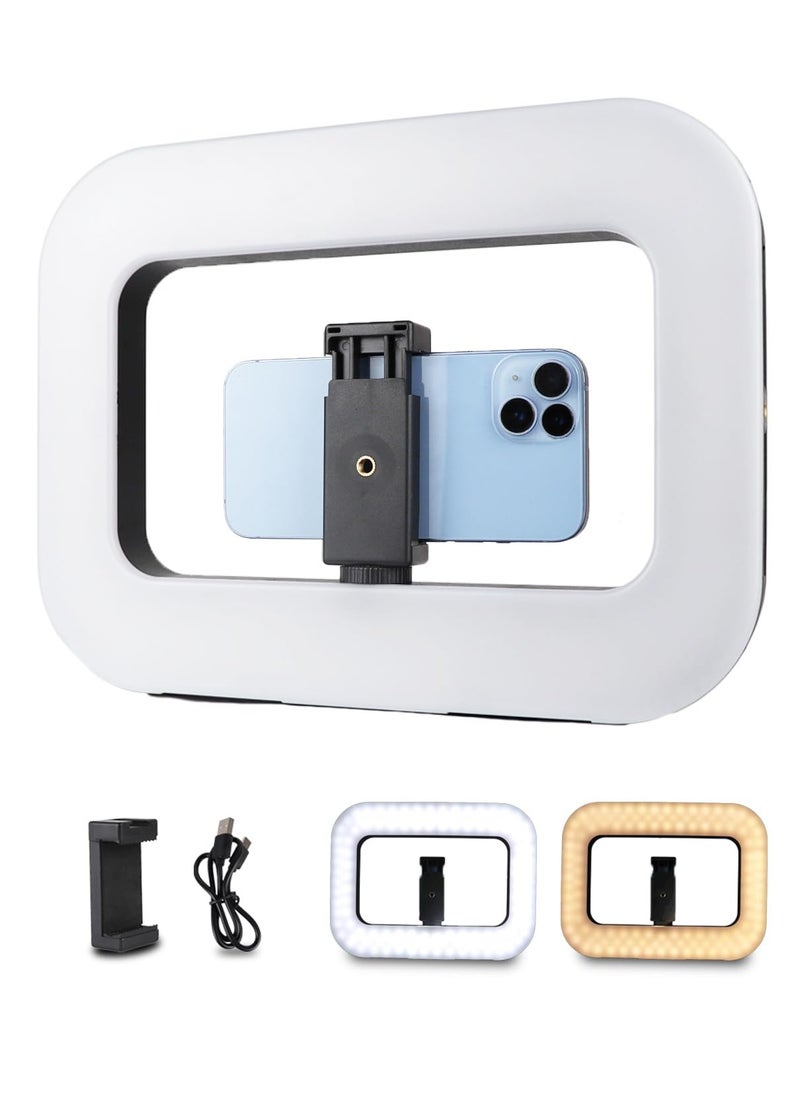 A&W - LED Video Rig with Ring Light – Handheld Stabilizer for Camera & Smartphone, 8000mAh Battery & Power Bank, Adjustable Light for Vlogging, TikTok, YouTube, Instagram, Snapchat, Makeup, Outdoor Shooting - Image 1
