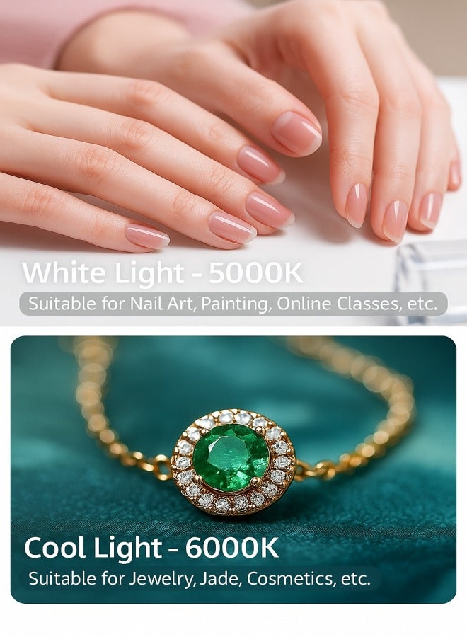 إيه آن د دبليو عدة تصوير بالفيديو مع حلقة إضاءة – مثبت يدوي للكاميرا والهاتف الذكي مع اضاءة جوال، ببطارية 8000mAh ووظيفة بنك الطاقة، إضاءة قابلة للتعديل للتصوير الخارجي، والتدوين، وتيك توك، ويوتيوب، وإنستغرام، وسناب شات، والمكياج - Image 4