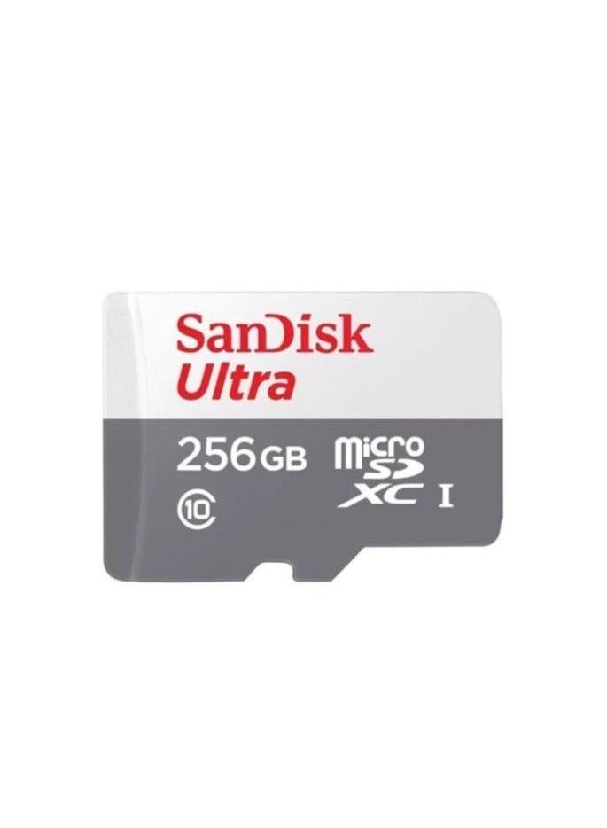 Sandisk SanDisk Memory Card 256 GB  - Image 2