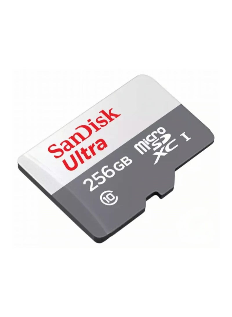 Sandisk SanDisk Memory Card 256 GB  - Image 3