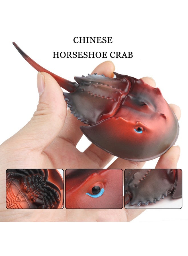 هالامودو مجموعة نماذج الحيوانات البحرية المكونة من 4 قطع -تماثيل مخلوقات المحيط الواقعية بما في ذلك دولفين، أوركا، سرطان حدبة الحصان، القرش، ألعاب معرفية بلاستيكية صلبة، هدية حفلة موضوع المحيط، هدية عيد ميلاد للأولاد والبنات - Image 3